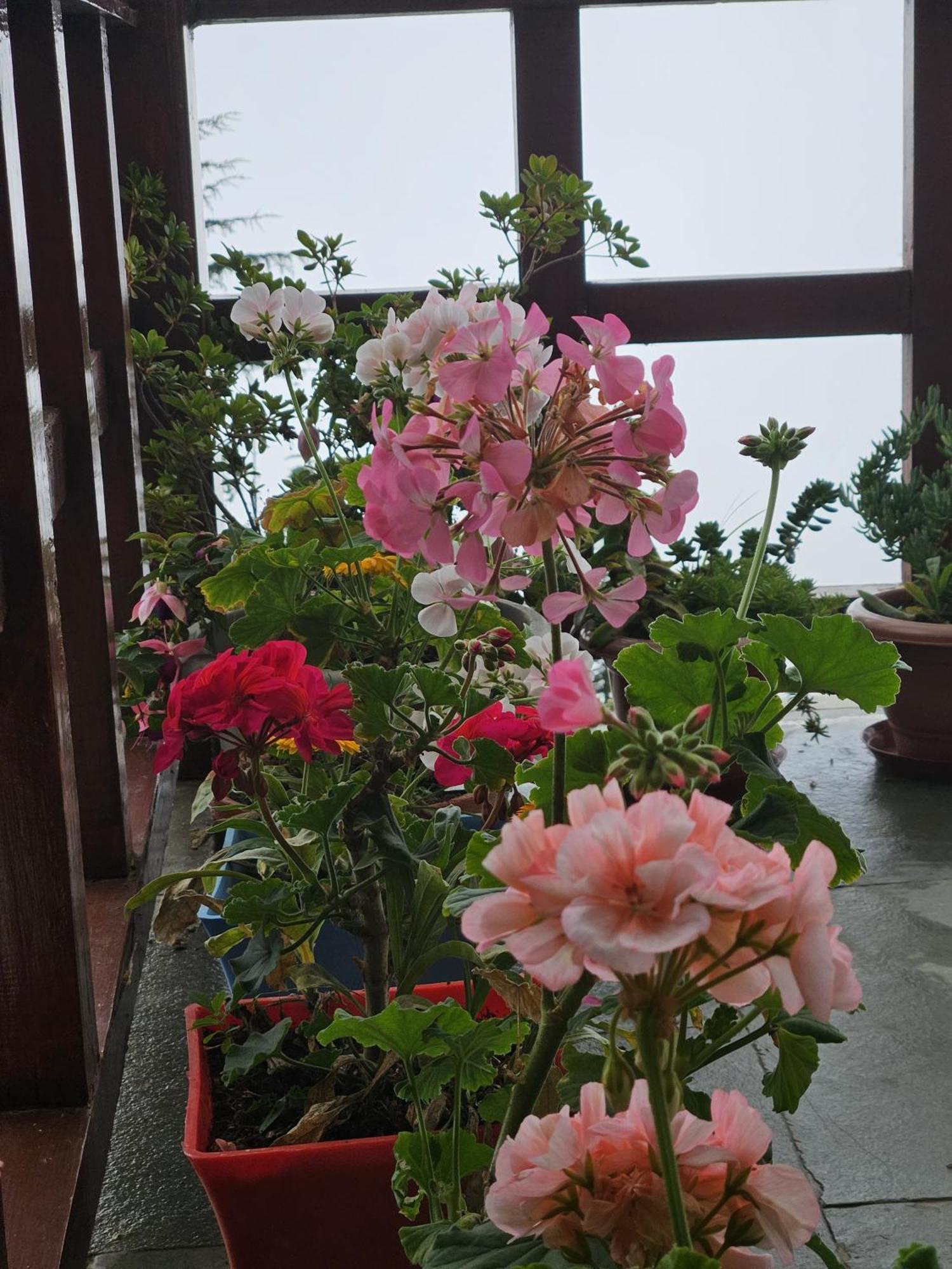 Ishan Log Huts-A Boutique Home Stay Banjār 外观 照片